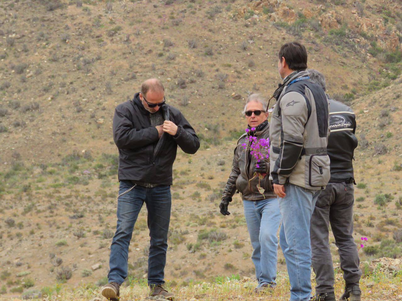Municipio de Huasco interpondrá denuncia tras fotografías que muestran “destrucción” del desierto florido
