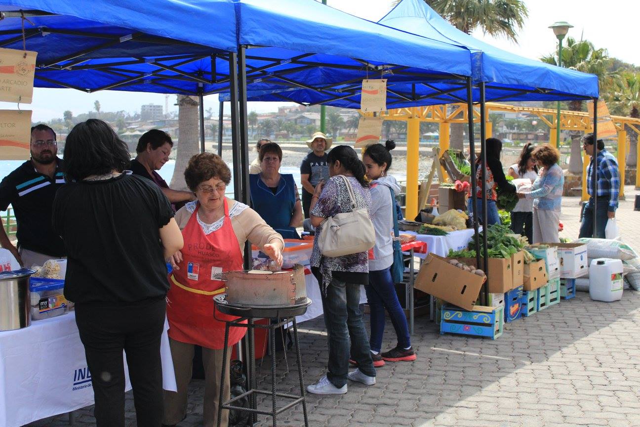 Más de 40 expositores participaron de Feria Sustentable en Huasco